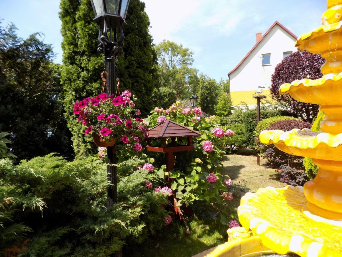 Hotel Angela Leba